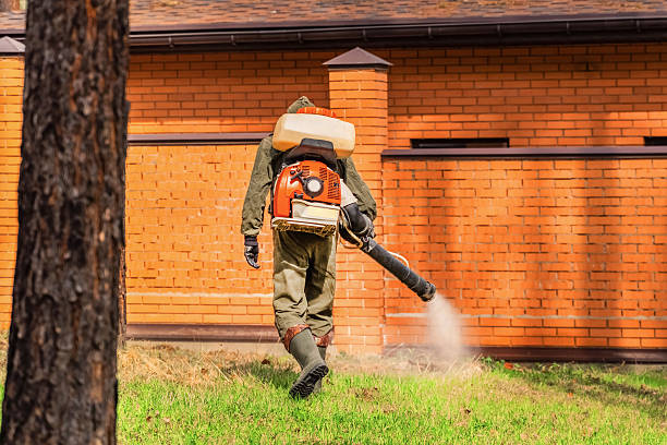 Bed Bug Clearance Verification and Documentation in Lightstreet